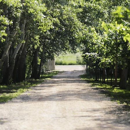 Antal-tavi Fogadó és Horgászparadicsom Szentes Exterior foto